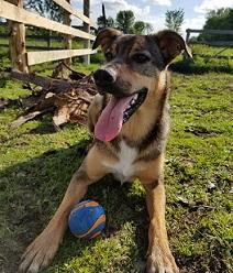 Pets - Dobson General Store North with a Great selection of Brand Name items to choose from at our Warehouse.  Shipping all across Canada.  New items daily.